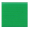 PP塑膠瓦楞紙板/60x100公分/#11綠色 圖片