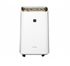 SHARP 夏普12L節能一級自動除菌離子2合1空氣清淨除濕機 DW-LT12FT-W 圖片