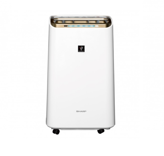 SHARP 夏普12L節能一級自動除菌離子2合1空氣清淨除濕機 DW-LT12FT-W 圖片