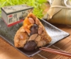 滿意-粽情意肉粽禮盒 圖片
