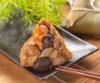 滿意-粽情意肉粽禮盒 圖片