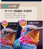 福利品-Philips 飛利浦 43吋 4K Google TV 智慧聯網液晶顯示器 (43PUH7630)/3年保固/無安裝服務 圖片