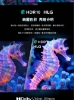 PHILIPS 飛利浦55型《LED》4K 舒視藍 Google TV智慧顯示器 55PUH7700 圖片