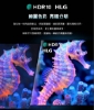 PHILIPS 飛利浦65型《LED》4K 舒視藍 Google TV智慧顯示器 65PUH7700 圖片